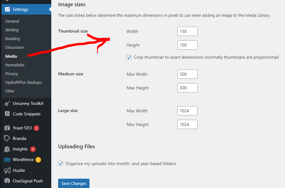 manage wordpress duplicate image